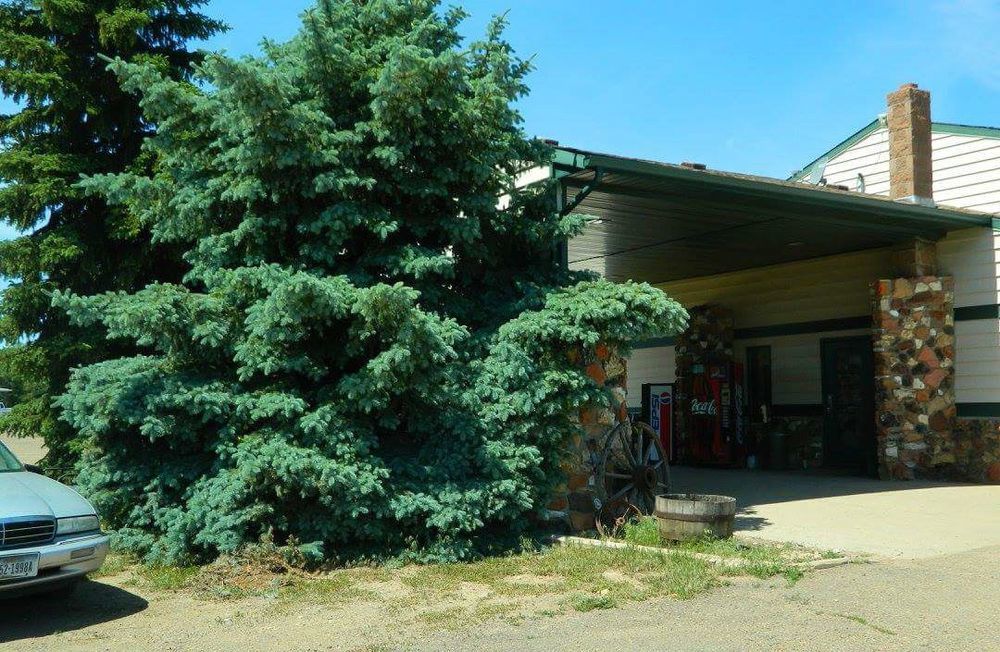 Rodeway Inn Gateway To Medora T-Roosevelt & Makoshika State Park Wibaux Ngoại thất bức ảnh